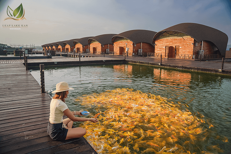 leaflakekan-resort-koi